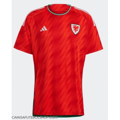 Camisa de time de futebol País de Gales Replicas 1º Equipamento Mundo 2022 Manga Curta